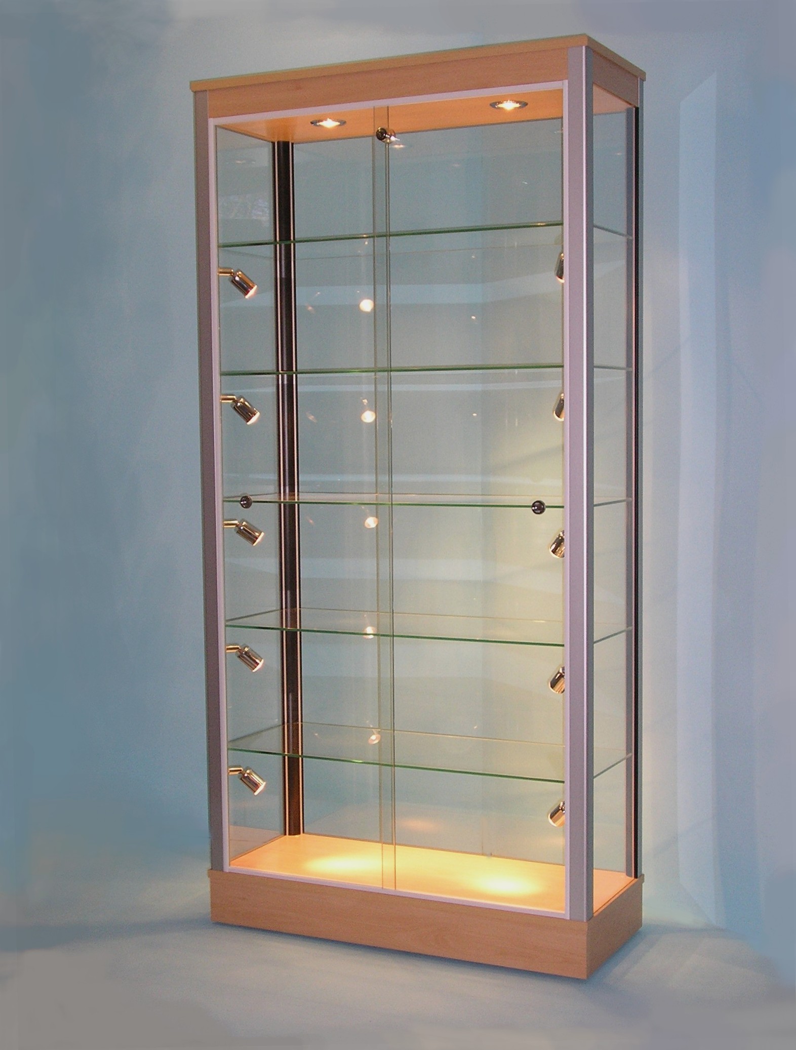 Glass Display Cabinets With Lights | vlr.eng.br